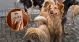 Un jubilado gana 92.000 euros en la lotería y decide donar todo el dinero a un refugio de animales