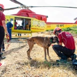 Muere Titan, un perro del Consorcio de Bomberos de Alicante con más de 80 búsquedas y "una hoja impecable"