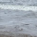 ¿Qué nos dice la espuma del mar de la salud de las playas?