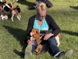 Los primeros Beagles que dejan Ridglan Farms tocan y olfatean la hierba por primera vez [ENG]