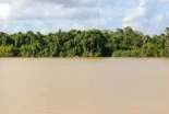 Ningún puente cruza el Amazonas, el río más largo del mundo: ¿cómo es posible?