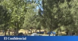 De Madrid a Bilbao, los asentamientos de tiendas de campaña se disparan en los parques españoles