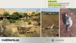 Extrabajadores de Puy du Fou denuncian un cementerio de animales dentro del parque