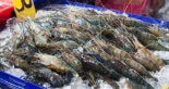 China prohibe el consumo de marisco japonés por Fukushima