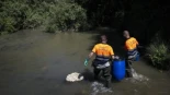 Madrid reintroduce estas tres especies de peces en el río Manzanares