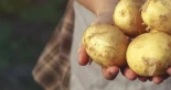 Cómo una dieta a base de patata cambió la genética de los indígenas de Perú