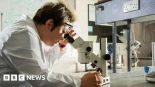 Los científicos están fabricando ya una vacuna antihantavírica [ENG]