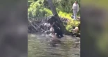 Rabioso castor muerde a niño de 8 años mientras pescaba con su familia