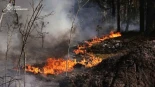 Kiev informa de un gran incendio forestal en la zona de exclusión de Chernóbil tras el accidente de un dron (ENG)