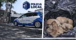 Identifican a una pareja que arrojó desde el coche una bolsa con seis cachorros en Ojos de Garza