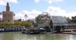 Indignación en Sevilla: el Ayuntamiento, señalado por "privatizar" el concierto gratuito de Rosalía