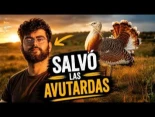 Pimpo: el chico que salvó las avutardas