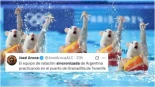 "El señor de las ratas": las redes se cachondean de Clavijo y sus roedores que nadan
