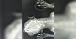 Buscan al autor de los disparos con balines a distintos animales, causando la muerte de una gata en Boborás