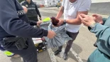 Operación rescate en Arahal (Sevilla) para salvar a dos gallos malheridos tirados en un contenedor soterrado