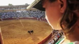 La violencia normalizada, lápices en vez de banderillas