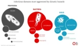 Los peligros del cambio climático: una bacteria congelada desde hace 5.000 años es resistente a casi todos los antibióticos modernos