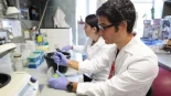 Avance para tratar la celiaquía: científicos de Barcelona desarrollan una molécula capaz de degradar el gluten