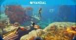 Subnautica 2 ya está a la venta y arrasa en steam. supera los 450000 jugadores simultáeos en apenas una hora
