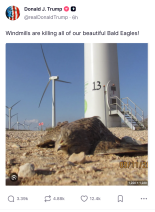 Más bulos de Donald Trump sobre los parques eólicos y su impacto sobre la fauna y entorno