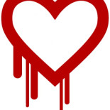 El antiguo director de seguridad de Microsoft, detrás del heartbleed.com