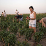 La crisis en España enciende de nuevo un viejo conflicto social [Eng]