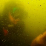 Suspenden las inmersiones en el Mar Menor porque "no se ve a 30 cm por la turbidez"