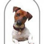 Albert Rivera sale ganando sin UPyD