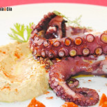 Doce recetas con pulpo