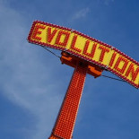 La selección natural sigue funcionando con los humanos