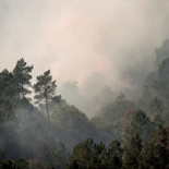 El brigadista de Lobios detenido cobraba por prender fuego al monte