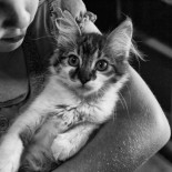 Gatos que ayudan a tratar el autismo