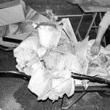 Halladas en un búnker de Gijón más de 20.000 piezas arqueológicas