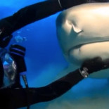 Fallece a los 66 años Pete Quaife, bajista original de The Kinks