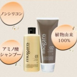 Islandia denunciará a Inglaterra, acusandola de causar el colapso económico