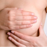 El tamaño de los pechos en la evolución humana