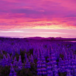 Asombrosa demo de reproductor HTML5 potenciado por Ogg Theora