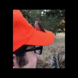 Qué flor más rara...