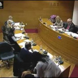 Amorós cierra una comisión para irse de fiesta y Franco llama "ratera" a Monica Oltra por protestar