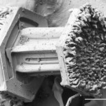 Nieve bajo el microscopio