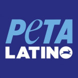 Tweet de Peta