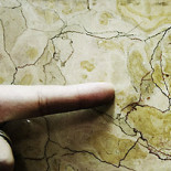 Fósiles en el centro comercial