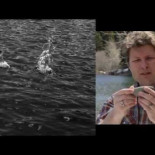 ¿Como saltan las piedras sobre el agua? Capturas con cámara de alta velocidad