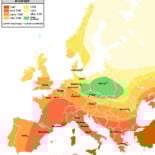 Gracias a la evolución, la Muerte Negra murió (pero influyó en la evolución humana)