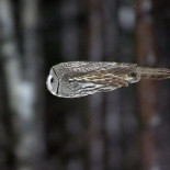 El  coche más infravalorado de la historia: la vertiginosa velocidad de las lágrimas
