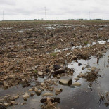 El campo del Páramo Bajo, tocado y hundido