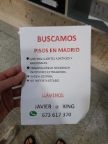 Como estan los patios