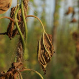 Hemos sufrido un ataque frontal y deliberado