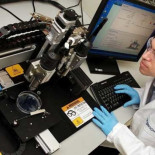 Impresora 3D crea los primeros mini hígados humanos funcionales