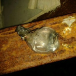 Incendios en Carnota: "No queremos los titulares cuando ya tengamos el monte quemado" [GAL]